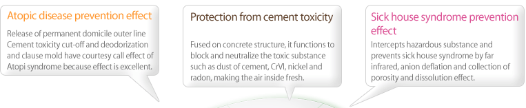 Nature Ceramic Paint