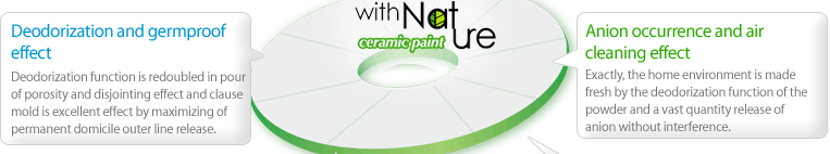 Ceramic House Paint
